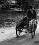 El vecio strassaro